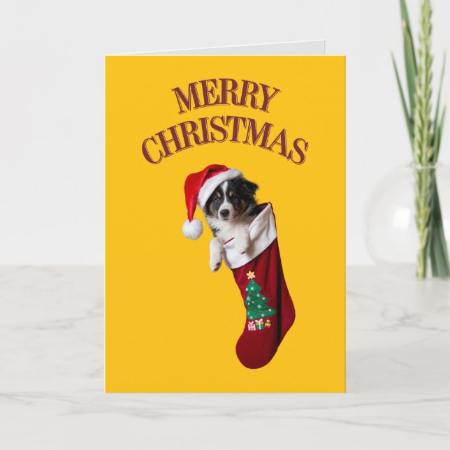 Tarjeta Cute Border Collie Navidad  (Anverso)