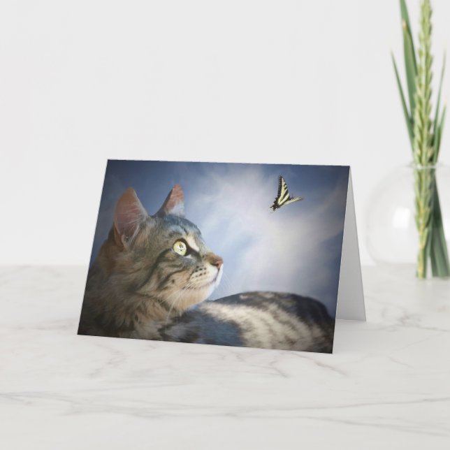 Tarjeta Cute Cat and Butterfly Happy Birday Card (Anverso)