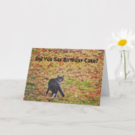 Tarjeta Cute Cat Art Pun Funny Birday Card
