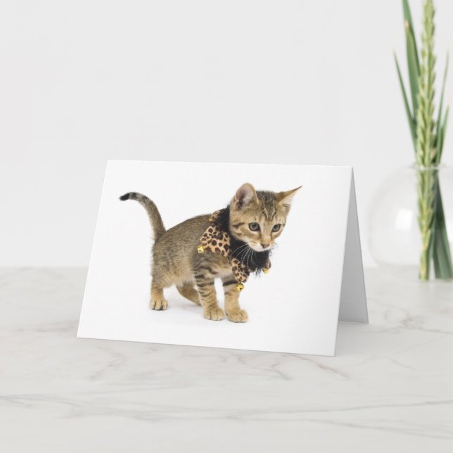 Tarjeta Cute Cat Leopard Print Collar Birthday Card (Anverso)