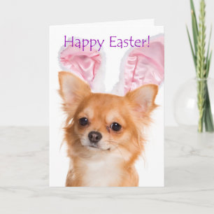 Tarjeta Cute Chihuahua Easter