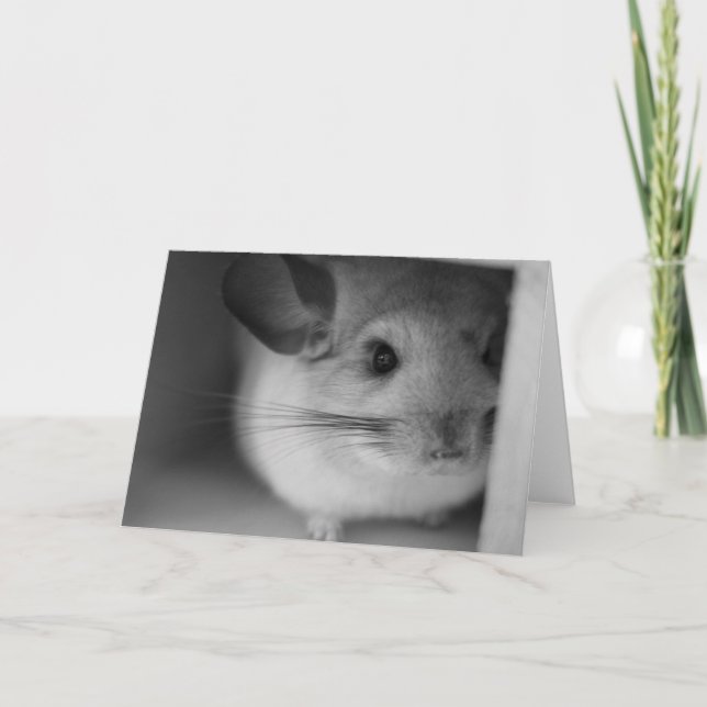 Tarjeta Cute Chinchilla (Anverso)