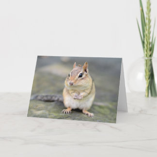 Tarjeta Cute Chipmunk con amigo malo