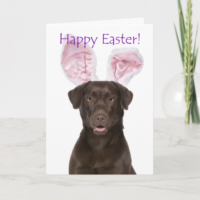 Tarjeta Cute Chocolate Lab Easter (Anverso)