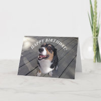 Cute Corgi Feliz Cumpleaños