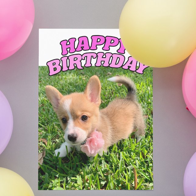 Tarjeta Cute Corgi Puppy Dog Foto Rosa Feliz Cumpleaños (Subido por el creador)