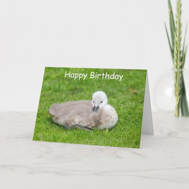 Tarjeta Cute Cygnet Birday Card (Anverso)