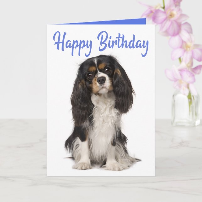 Tarjeta Cute Dog King Charles Cavalier Spaniel Birthday (Orquídea)