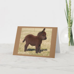TARJETA CUTE DONKEY DICE **FELIZ CUMPLEAÑOS PARA TI** TARJ