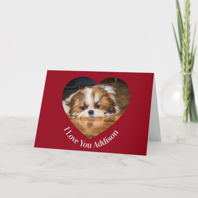 Tarjeta Cute foto de shih tzu con corazón de San Valentín (Anverso)