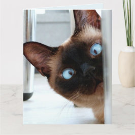 TARJETA ¡CUTE GATO SIAMÉS QUE ESTÁ PASANDO FELIZ CUMPLEAÑO