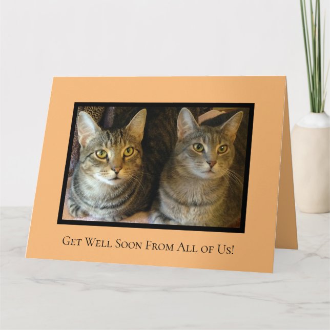 Tarjeta Cute Gatos Alegres Mascotas Loro Mejoran Pronto (Anverso)