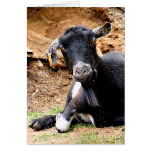 Tarjeta CUTE GOAT