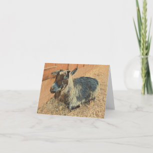 Tarjeta Cute Goat Hello - Blank Card