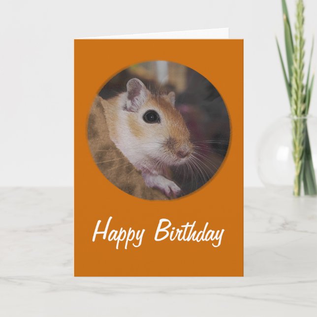 Tarjeta Cute Golden Pet Gerbil (Anverso)
