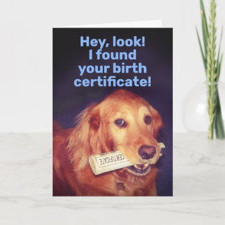 Tarjeta Cute Golden Retriever con certificado de nacimient