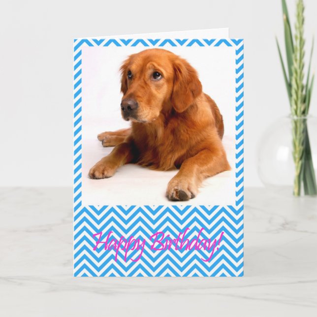 Tarjeta Cute Golden Retriever Dog Happy Birday Card (Anverso)