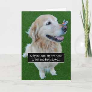 Tarjeta Cute Golden Retriever vuele con un mensaje de cump