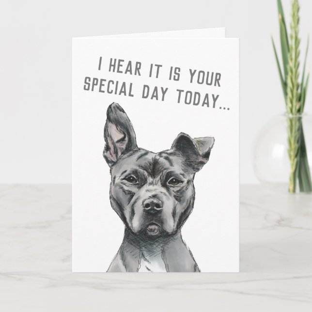 Tarjeta Cute Gray Dog Funny Feliz cumpleaños (Anverso)