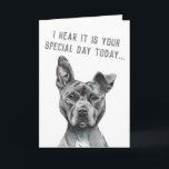 Tarjeta Cute Gray Dog Funny Feliz cumpleaños<br><div class="desc">Este es un retrato de un bulldog de foso gris con blanco en el pecho. Tiene una oreja de pie. Él tiene una mirada real en su cara. Está en un lado voluminoso y tiene una cara grande y muscular. Se dibujó con lápiz y después se coloreó digitalmente con pastel....</div>