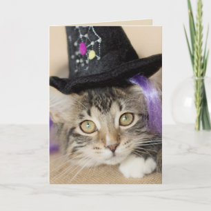 Tarjeta Cute Halloween Kitten Witch
