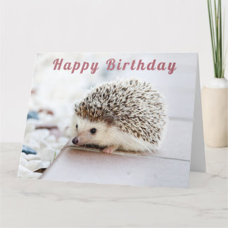 Tarjeta Cute Hedgehog - Feliz cumpleaños