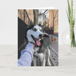 Tarjeta Cute Husky En Un Parque De Perros Con Lengua Fuera