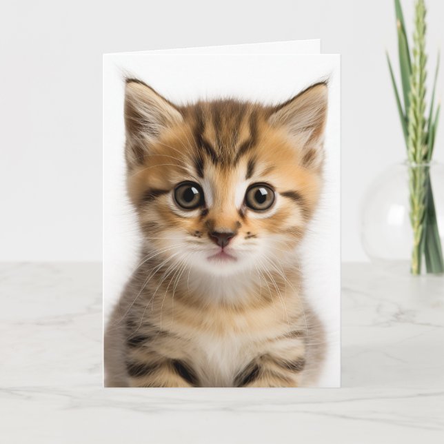 Tarjeta Cute Kitten (Anverso)