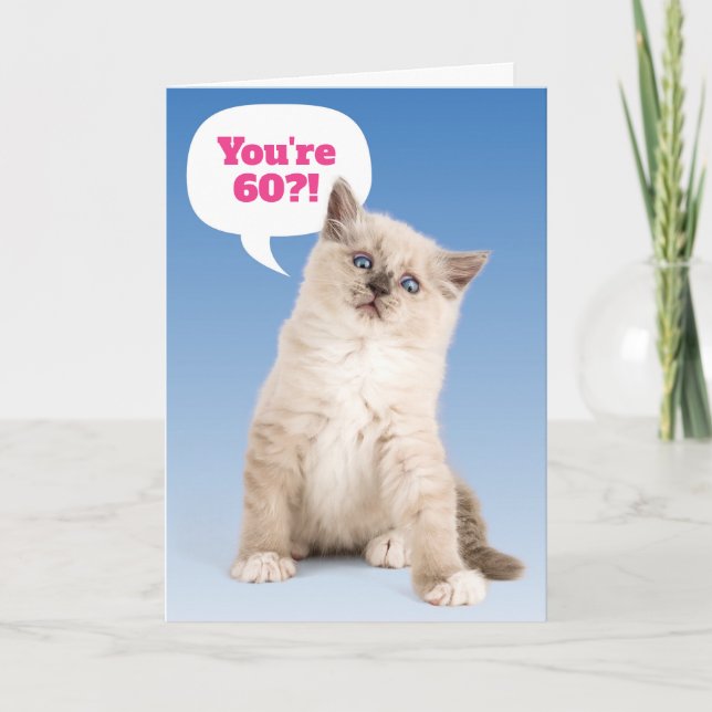 Tarjeta Cute Kitten, ¿tienes 60 años? Edad de Personalizab (Anverso)