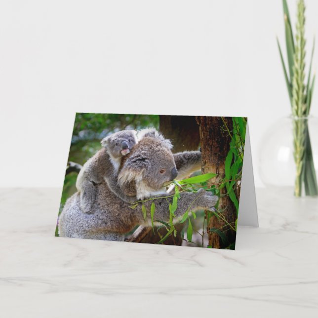 Tarjeta Cute Koalas (Anverso)