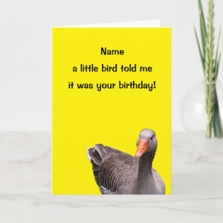 Tarjeta Cute Little Bird Funny Happy Birday Card
