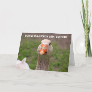 Tarjeta Cute Little Goose Birday Card