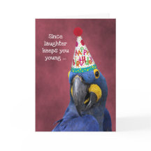 Cute Macaw se ríe para seguir siendo un cumpleaños