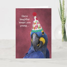 Tarjeta Cute Macaw se ríe para seguir siendo un cumpleaños
