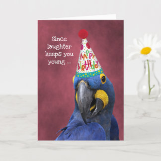 Tarjeta Cute Macaw se ríe para seguir siendo un cumpleaños
