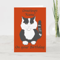 Cute Maine Coon Cat Birday Card