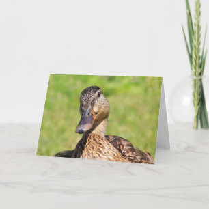 Tarjeta Cute Mallard Get Well Card