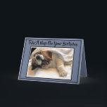 Tarjeta Cute Napping Basset En Funny Birday Card<br><div class="desc">Montaje lindo sobre la base de la graciosa tarjeta de cumpleaños en colores azul y negro</div>