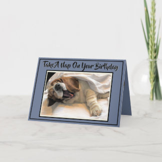 Tarjeta Cute Napping Basset En Funny Birday Card