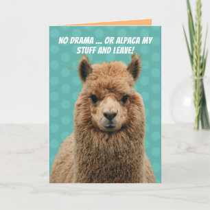 Tarjeta Cute No Drama Llama O Alpaca Mis Cosas Cumpleaños