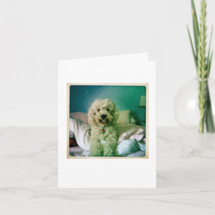 Tarjeta Cute Notecard Goldendoodle