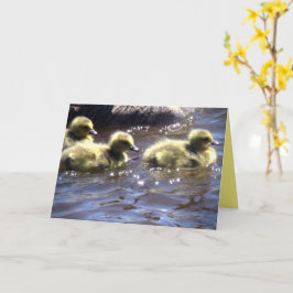 Tarjeta Cute patitos de gansos de primavera nadando