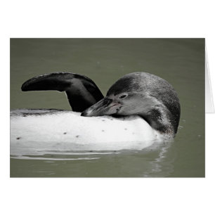 Tarjeta Cute Penguin Swimming Blank