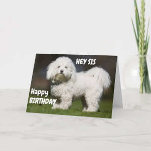 TARJETA CUTE PERRO PARA EL CUMPLEAÑOS DE MI HERMANA