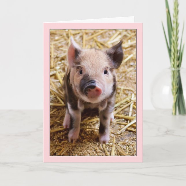 Tarjeta Cute Pig Pink Birday Card (Anverso)