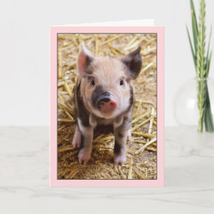 Tarjeta Cute Pig Pink Birday Card