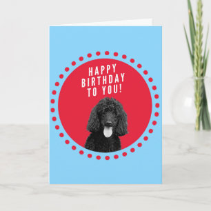 Tarjeta Cute Poodle Dog Feliz cumpleaños Red Dots Circle