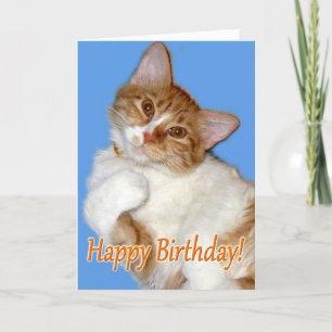 Tarjeta Cute Posando Gato - Cumpleaños General
