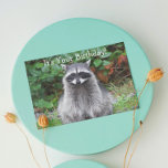 Tarjeta Cute Posando Raccoon Funny Wildlife Cumpleaños<br><div class="desc">Con temática natural,  tarjeta de cumpleaños divertida para todo lo que incluye la foto de una linda posada de Raccoon junto con un humorístico saludo de cumpleaños dentro. Seleccione una tarjeta de estilo mate o brillante.</div>