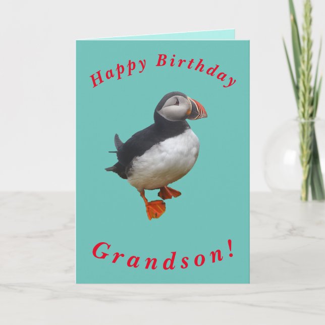 Tarjeta Cute Puffin Birday Card para Nieto (Anverso)